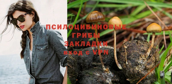 прущий лед Абаза