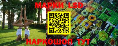 крисы Пугачёв