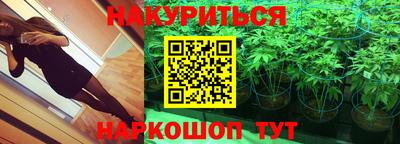 гашик Пыть-Ях