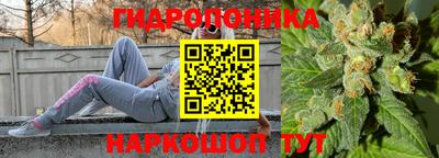 гидропоника Пенза